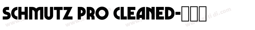 Schmutz Pro Cleaned字体转换
